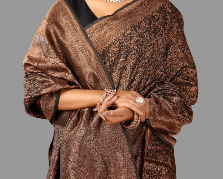 Dark Brown Banarasi Silk Saree with Copper Zari Jaal &amp; Black Blouse