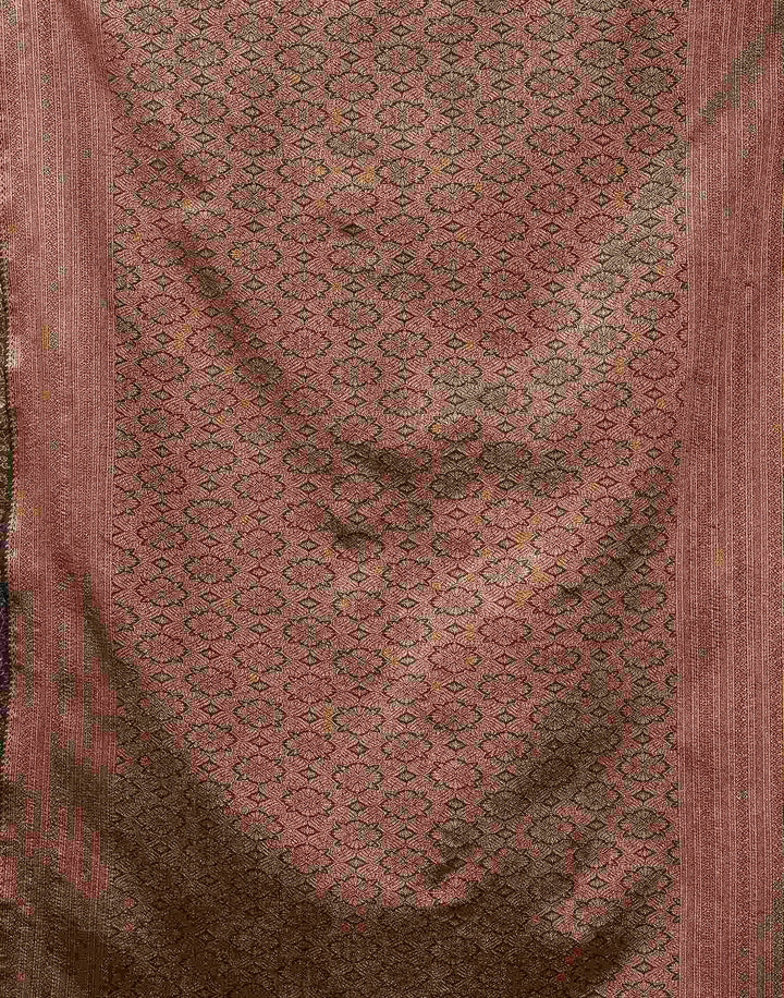 Dark Brown Banarasi Silk Saree with Copper Zari Jaal &amp; Black Blouse