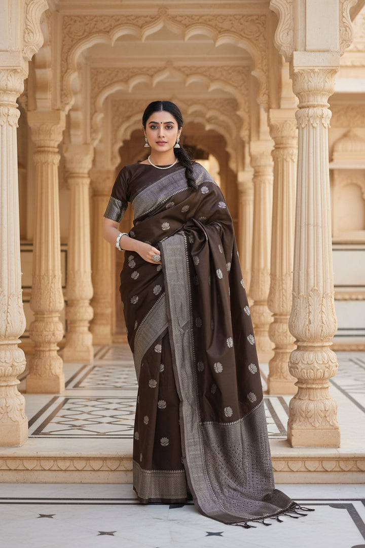 Dark brown Banarasi silk saree full drape view