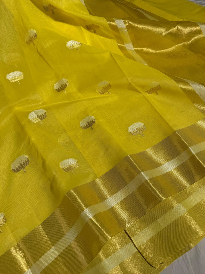 Katrina Kaif mam inspired linen cotton silk saree