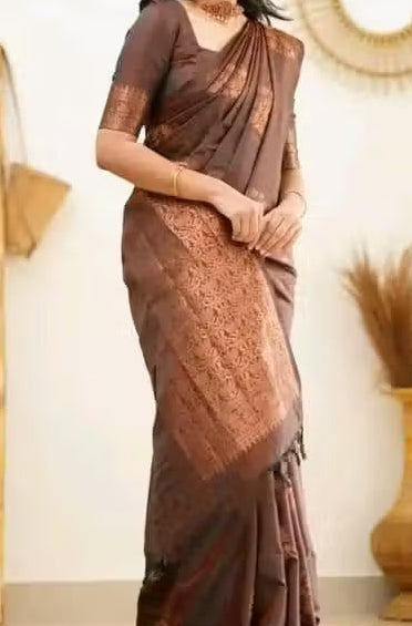 Chocolate Brown Banarasi Silk Saree - Model full drape with copper zari pallu