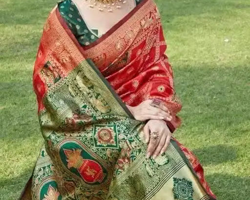 Red Patola Silk Saree - Pallu with elephant and temple motifs