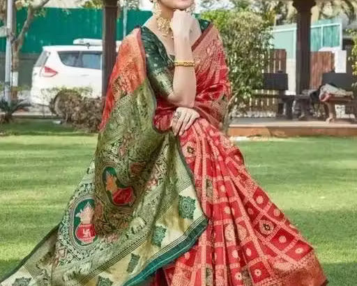 Red Patola Silk Saree - Side drape view